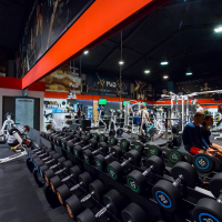CityGYM